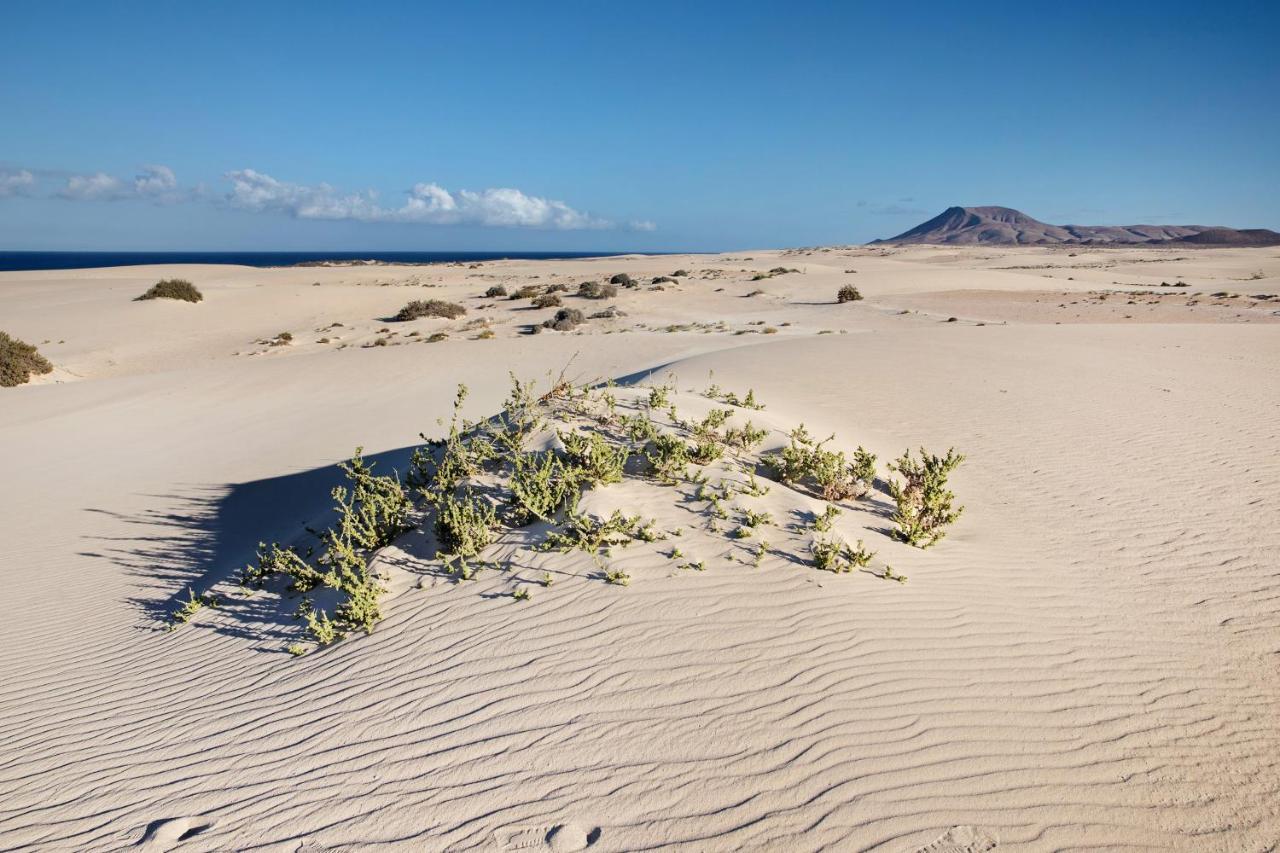Las Fuentes Corralejo Exteriör bild